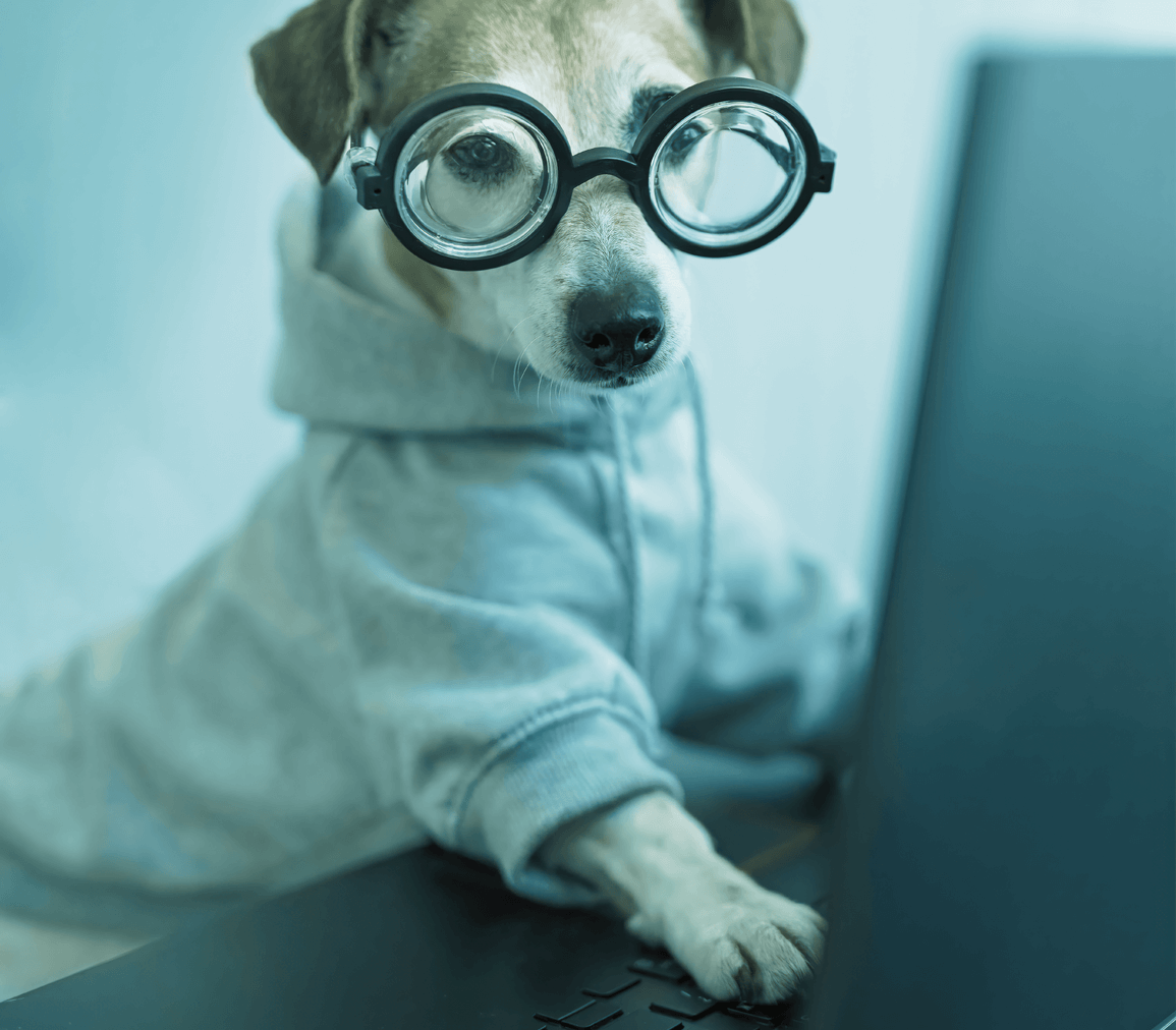 Dog searching on the internet - Tokyo Tech Support